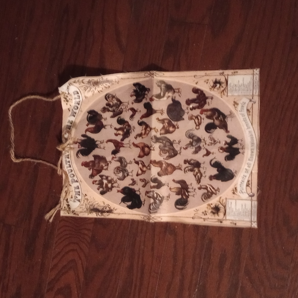 Wall Hanging Deco